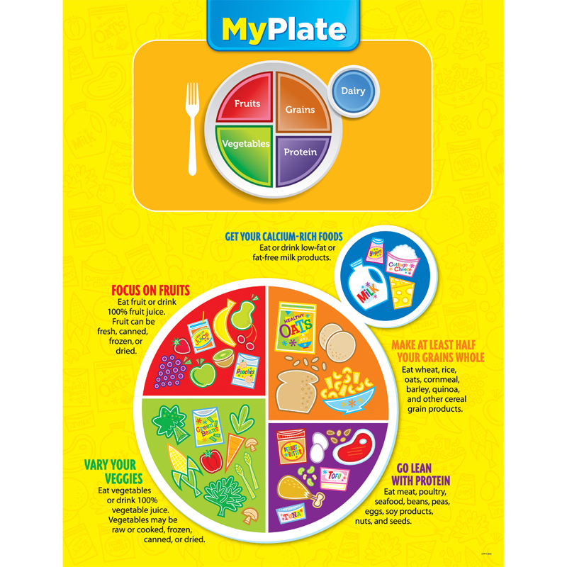 MY PLATE CHART 1616019190 EBay